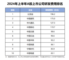 年中业绩很美丽，不过这才是迪王财报的真相……