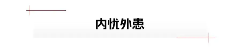 国产车群狼环伺，特斯拉销量见顶？