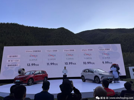 最低9.99万起，续航425km，这SUV不止能做欧洲销冠？