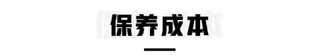 不到20万买豪车，据说所有人都考虑过这两款