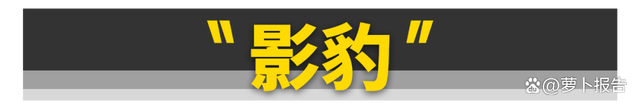 只要10万块，这10台好车就能随便买！