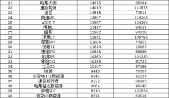 2024年10月汽车销量排行榜 小米SU7销量跃升