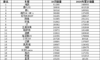 2024年10月汽车销量排行榜 小米SU7销量跃升