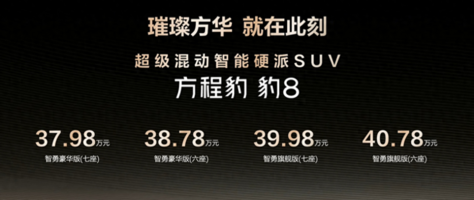 售价37.98万起 方程豹豹8上市