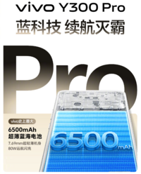 千元超强续航的首选！vivo Y300 Pro测评报告来了