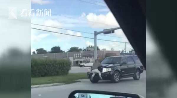 路怒？肌肉男徒手大战SUV 见车倒退又扑上引擎盖