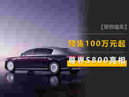 尊界S800亮相：车门把手带屏幕？预售100万元起