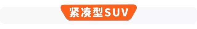 12.99万起、最快5.5秒破百，这些车型号称SUV中的“战斗机”！