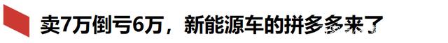 七万元的零跑汽车，每卖一辆亏六万多，是拼多多“百亿补贴”吗？