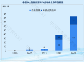 你家的车上榜了吗？这些中大型新能源SUV最棒