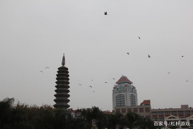 黑马诞生！蔚来的对手，居然不是小鹏理想