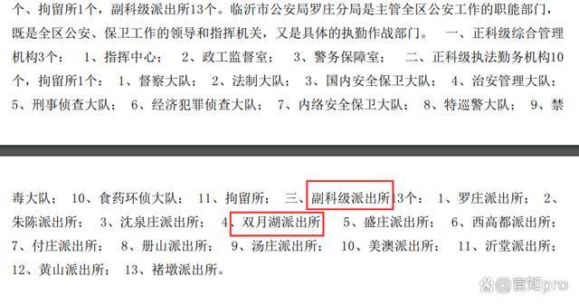 戴劳力士手表，开A8豪车，所长的收入买得起吗？